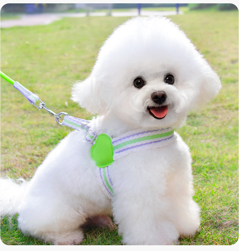 Explore the Joy of Walks with the Summer Breathable Corgi Walking Dog Leash